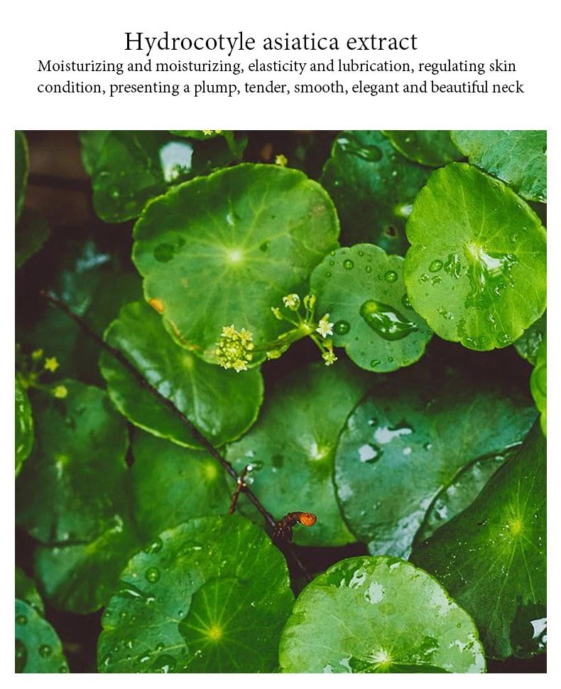Neck Mask Moisturizing Brightening