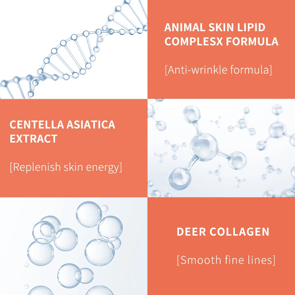 Anti Wrinkle Anti Dark Circles Eye Bags Eye Care