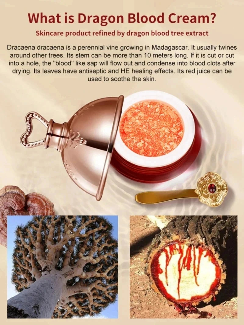 Brightening Lift Firming Dragon's Blood Cream